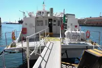 Hidrofoil satılık