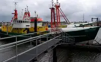 devriye botu satılık