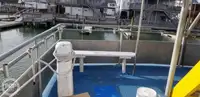 Katamaran satılık