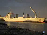 soğutuculu gemi satılık