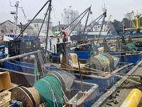 Canlı balık taşıma gemisi satılık