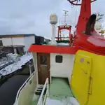 Devriye botu satılık