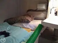 Küçük yük gemisi satılık