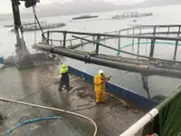 İş gemileri satılık