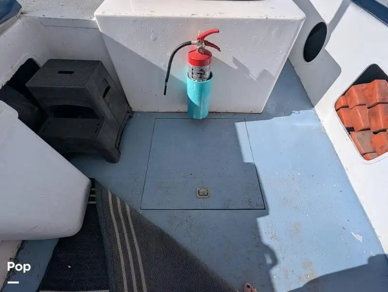 Kruvaziyer feribotu satılık
