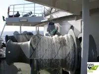 Ro-Ro gemisi satılık