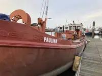 Mavna satılık