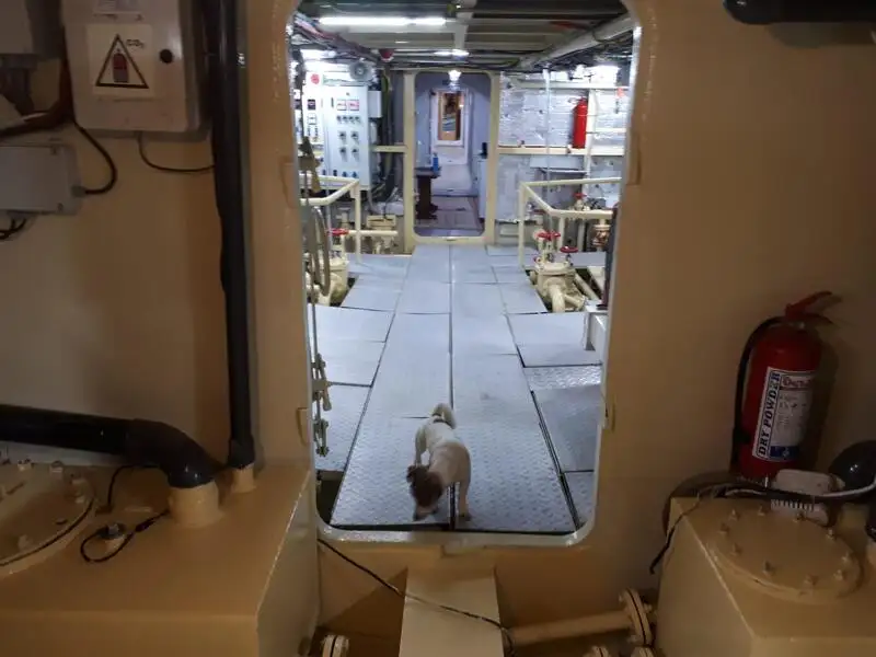 General Cargo/Multi-purpose satılık