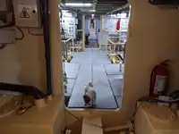 General Cargo/Multi-purpose satılık