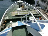 Kruvaziyer gemisi satılık