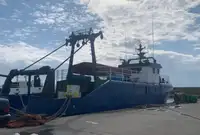 Trol gemisi satılık