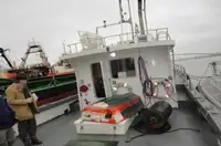 Pilot teknesi satılık