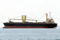 Dökme yük gemisi satılık