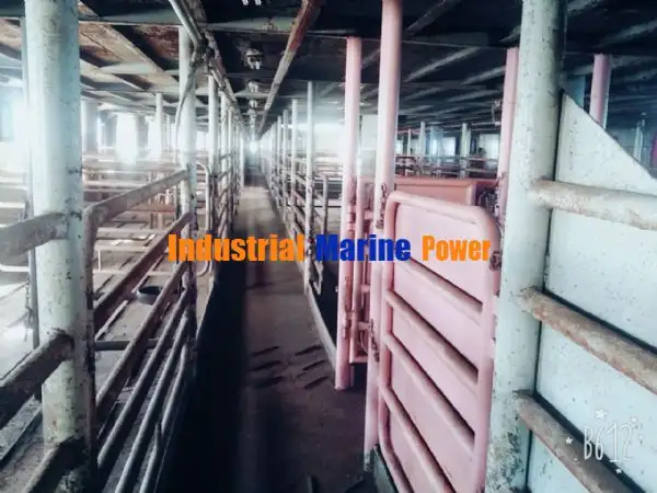 Hayvan taşıma gemisi satılık