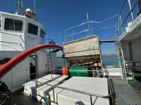 Dredger (Kazık çakma gemisi) satılık