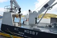 Konteyner gemisi satılık