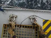 Soğutmalı gemi satılık