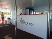 Kruvaziyer gemisi satılık