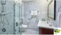 Kruvaziyer gemisi satılık