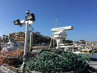 Trol gemisi satılık