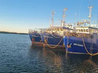 Trol gemisi satılık