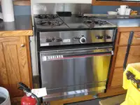 Kruvaziyer gemisi satılık