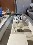 İş gemileri satılık