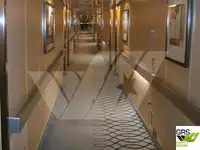 Kruvaziyer gemisi satılık