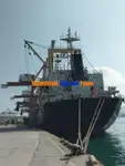 Yığın taşıyıcı satılık