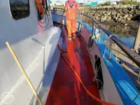 Feribot satılık