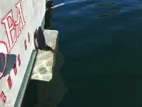 Trol gemisi satılık