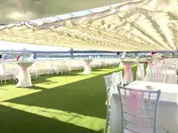 Kruvaziyer gemisi satılık