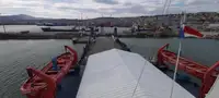 Yığın taşıyıcı satılık