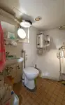 Kruvaziyer gemisi satılık