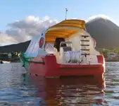 Feribot satılık