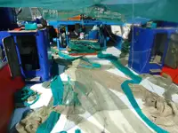 Trawler satılık