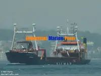 Yığın taşıyıcı satılık