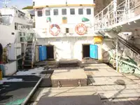 Uzun hatlı balıkçı gemisi satılık