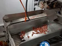 Trol gemisi satılık