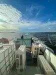 Konteyner gemisi satılık