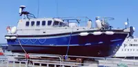 cankurtaran botu satılık