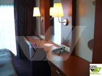 Kruvaziyer gemisi satılık