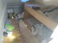 İş gemileri satılık