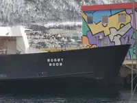 Ro-Ro gemisi satılık