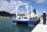 Kruvaziyer gemisi satılık