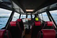 Devriye botu satılık