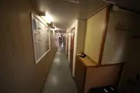 Yığın taşıyıcı satılık