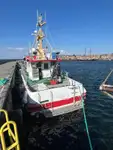 Devriye botu satılık