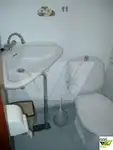 Kruvaziyer gemisi satılık