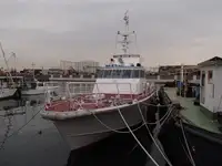 Devriye botu satılık